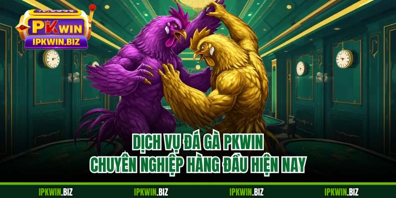 Dịch vụ đá gà PKWIN chuyên nghiệp hàng đầu hiện nay