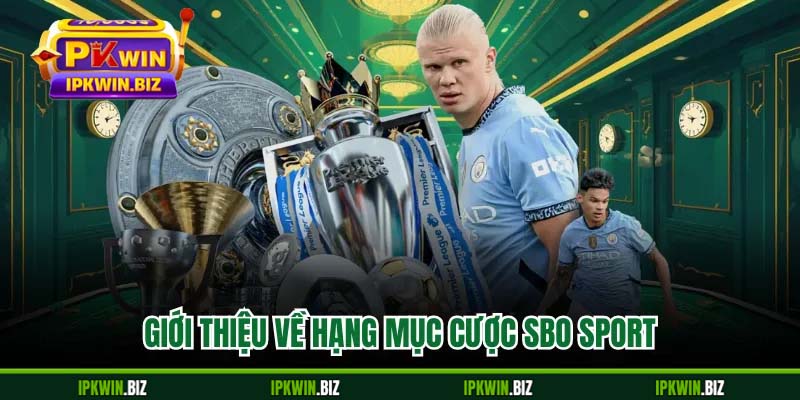 Giới thiệu về hạng mục cược SBO Sport