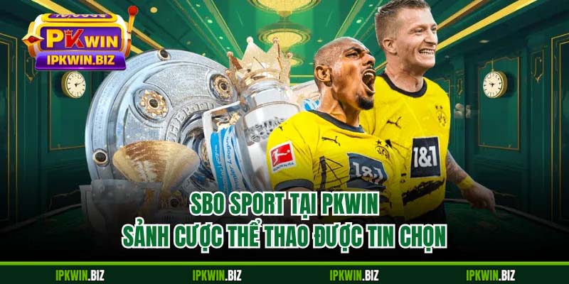 SBO Sport Tại PKWIN - Sảnh Cược Thể Thao Được Tin Chọn