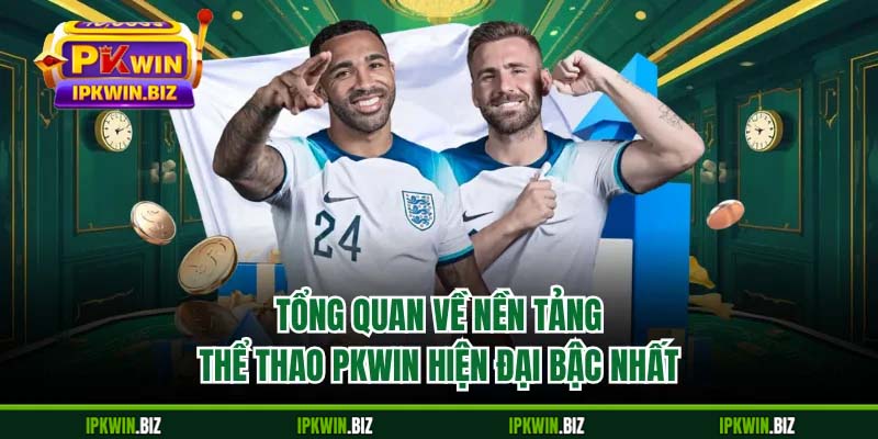 Tổng quan về nền tảng thể thao PKWIN hiện đại bậc nhất